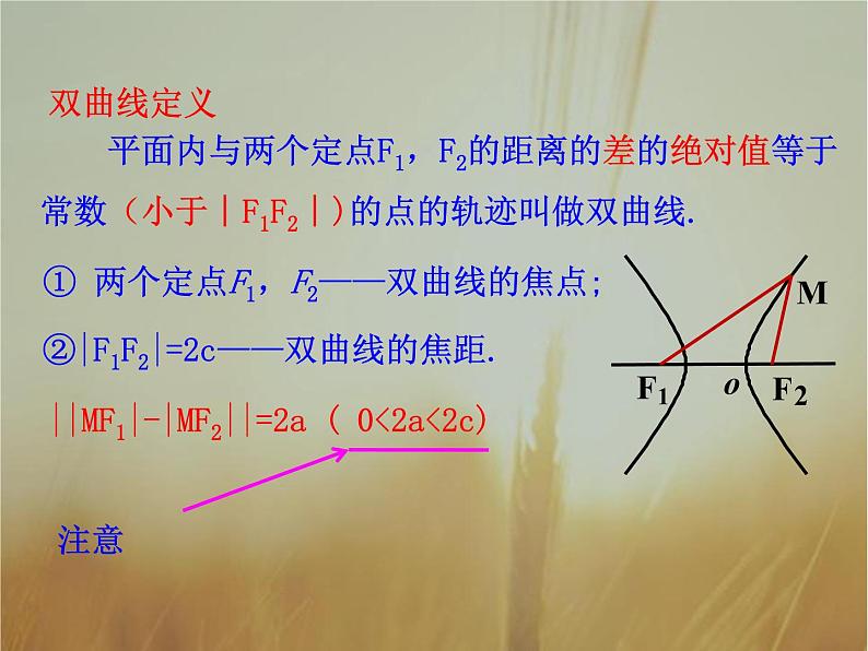 2019届二轮复习双曲线及其标准方程课件（32张）第6页