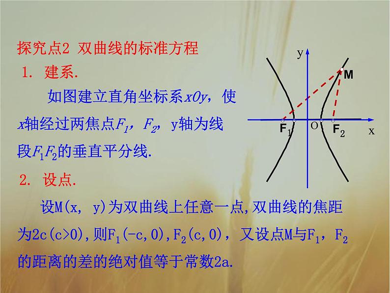 2019届二轮复习双曲线及其标准方程课件（32张）第8页