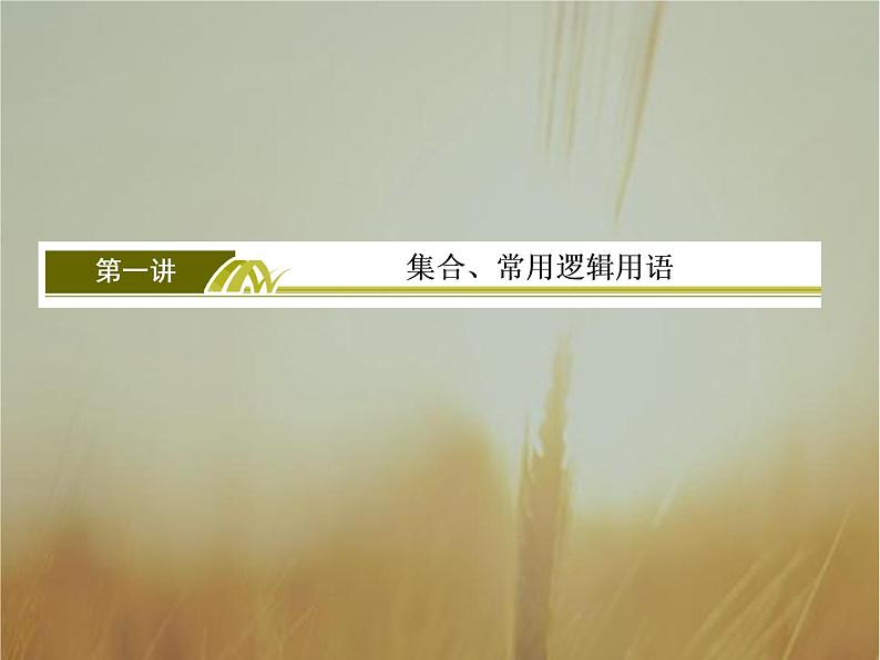 2019届二轮复习集合、常用逻辑用语课件（46张）（全国通用）03