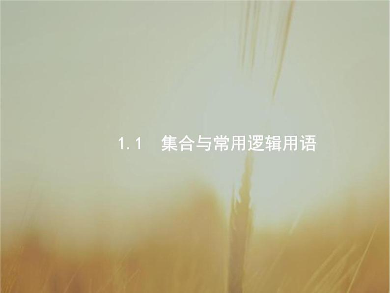 2019届二轮复习集合与常用逻辑用语课件（23张）（全国通用）02