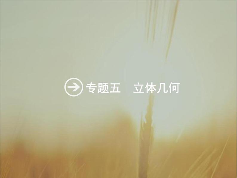 2019届二轮复习几何体的三视图与面积、体积课件（19张）（全国通用）01