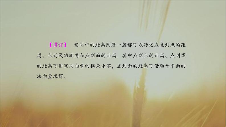 2019届二轮复习空间向量课件（43张）（全国通用）05