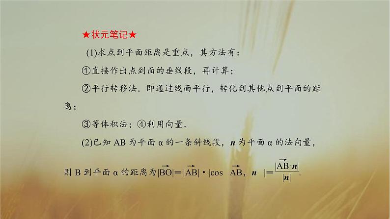 2019届二轮复习空间向量课件（43张）（全国通用）06