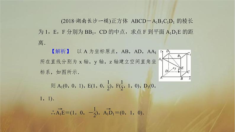 2019届二轮复习空间向量课件（43张）（全国通用）07