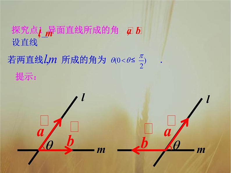 2019届二轮复习空间向量与空间角空间向量与空间距离课件(51张PPT)06