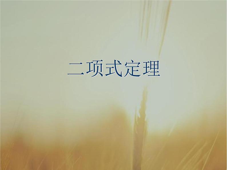 2019届二轮复习二项式定理课件（19张）（全国通用）01