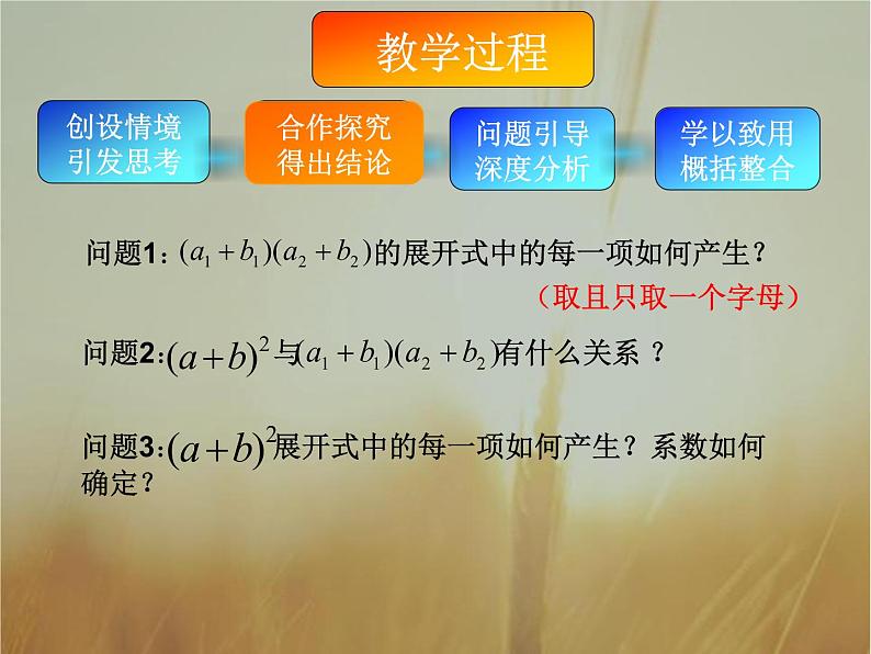 2019届二轮复习二项式定理课件（19张）（全国通用）08