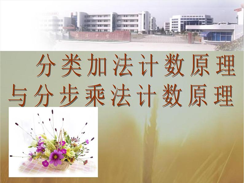 2019届二轮复习分类加法计数原理与分步乘法计数原理课件（25张）（全国通用）01