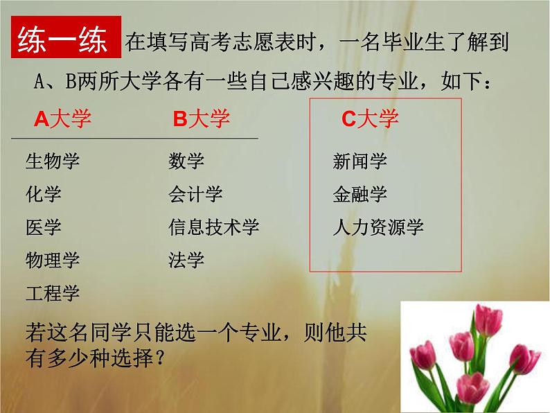 2019届二轮复习分类加法计数原理与分步乘法计数原理课件（25张）（全国通用）07