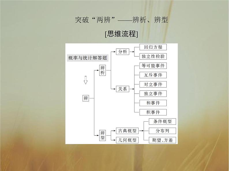 2019届二轮复习高考解答题突破6概率与统计课件（29张）（全国通用）02