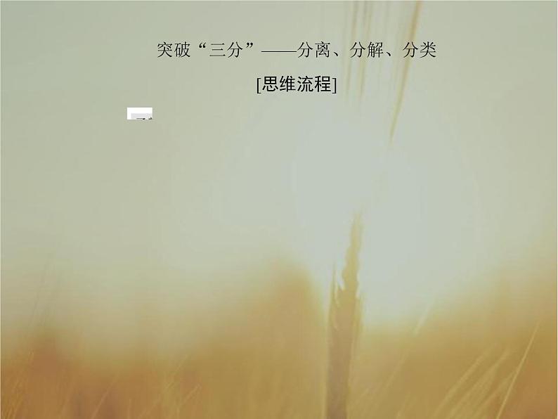 2019届二轮复习高考解答题突破1导数的综合应用课件（41张）（全国通用）02