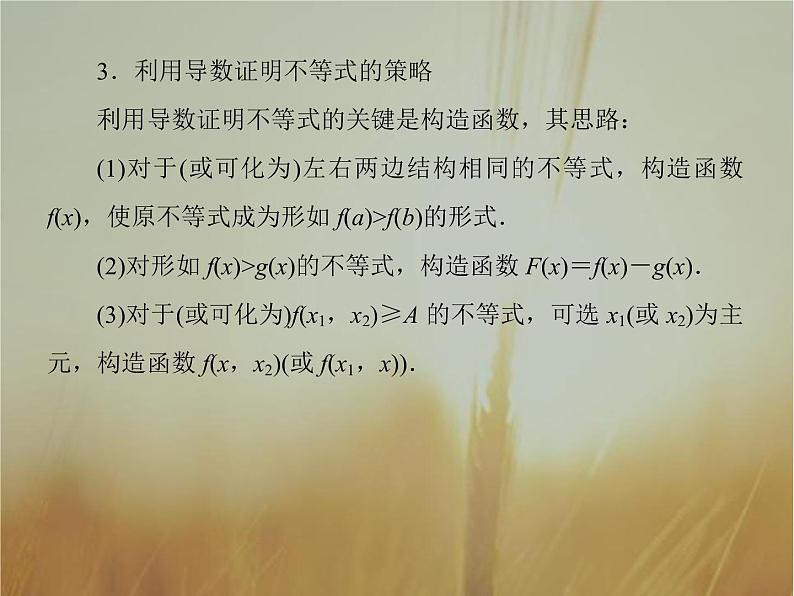 2019届二轮复习高考解答题突破1导数的综合应用课件（41张）（全国通用）06