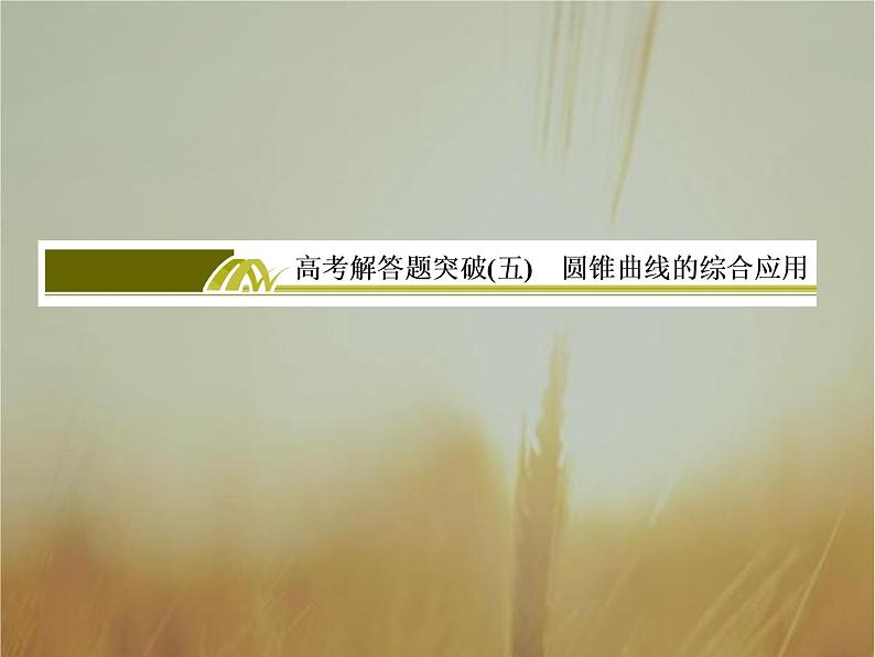 2019届二轮复习高考解答题突破5圆锥曲线的综合应用课件（40张）（全国通用）第1页