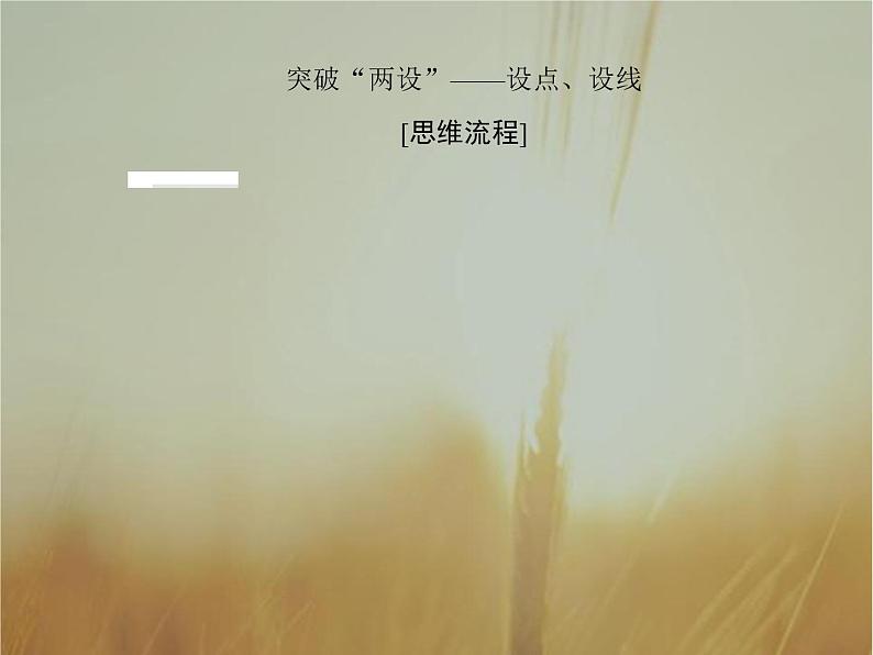 2019届二轮复习高考解答题突破5圆锥曲线的综合应用课件（40张）（全国通用）第2页