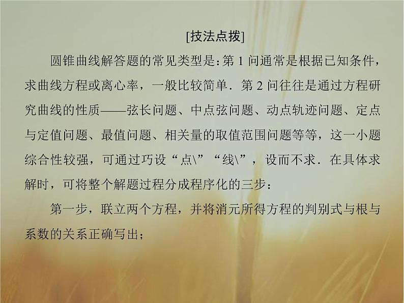 2019届二轮复习高考解答题突破5圆锥曲线的综合应用课件（40张）（全国通用）第3页