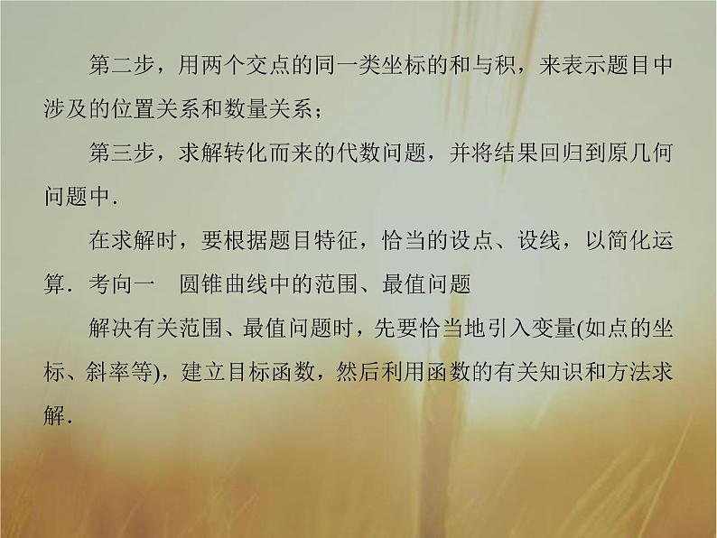 2019届二轮复习高考解答题突破5圆锥曲线的综合应用课件（40张）（全国通用）第4页
