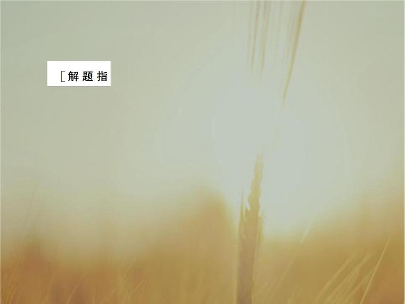 2019届二轮复习高考解答题突破5圆锥曲线的综合应用课件（40张）（全国通用）第7页