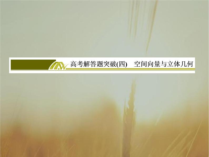 2019届二轮复习高考解答题突破4空间向量与立体几何课件（58张）（全国通用）01