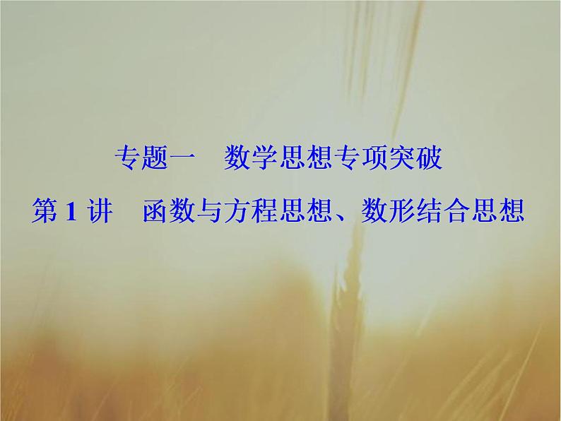 2019届二轮复习函数与方程思想、数形结合思想课件（33张）（全国通用）第2页