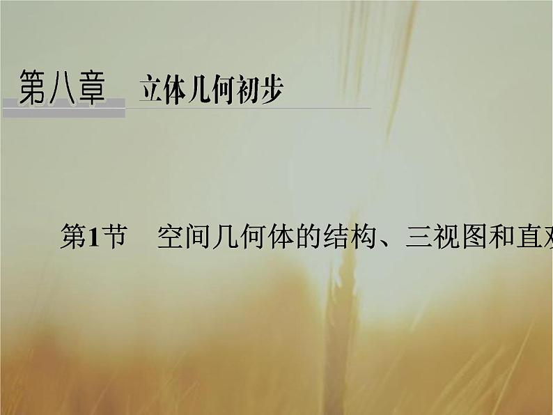 2019届二轮复习第八章立体几何初步课件（37张）（全国通用）01
