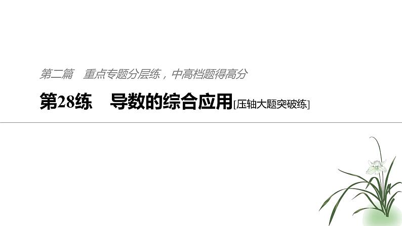 2019届二轮复习第28练　导数的综合应用[压轴大题突破练]课件（65张）（全国通用）01