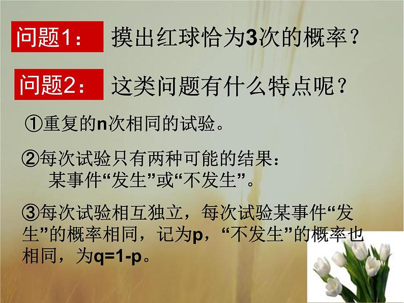 2019届二轮复习独立重复试验与二项分布(一)课件（22张）（全国通用）06