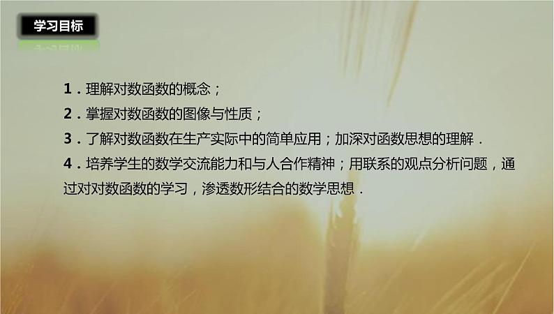 2019届二轮复习对数函数及其性质课件（29张）02