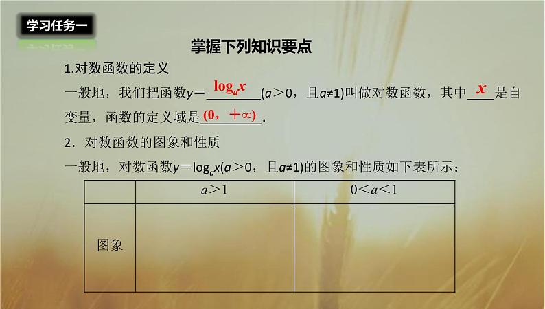 2019届二轮复习对数函数及其性质课件（29张）03