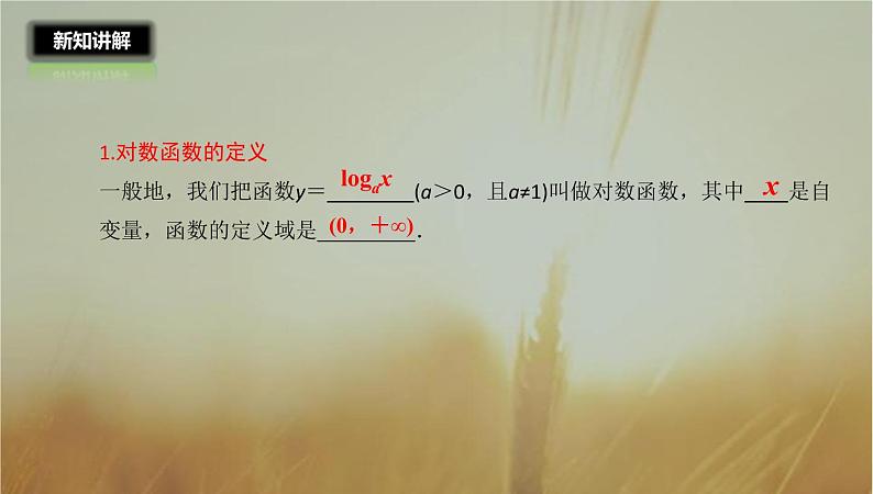 2019届二轮复习对数函数及其性质课件（29张）07