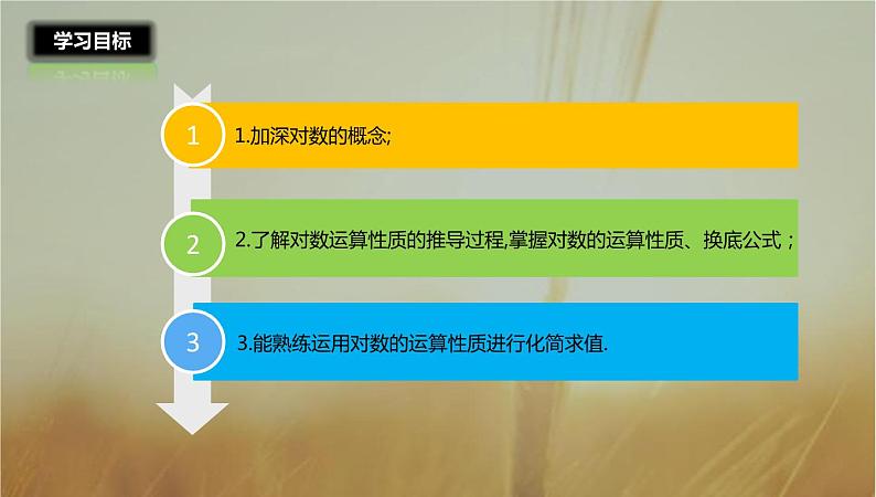 2019届二轮复习对数与对数的运算课件（24张）02