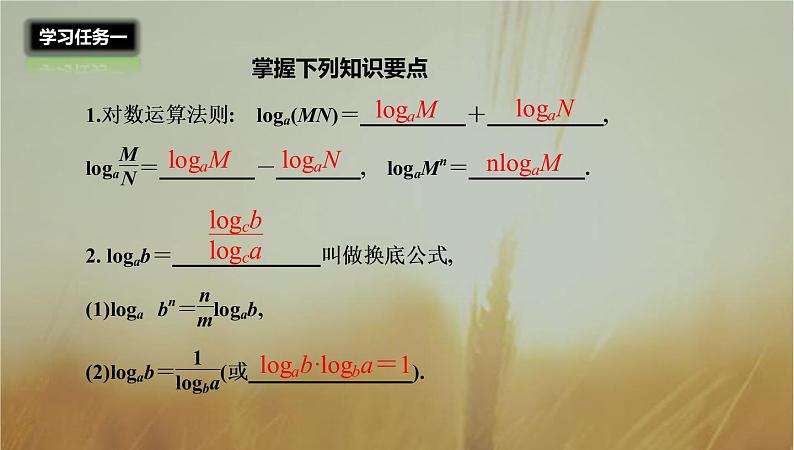 2019届二轮复习对数与对数的运算课件（24张）03