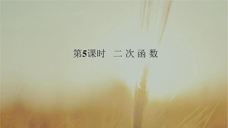 2019届二轮复习二次函数课件（45张）（全国通用）01