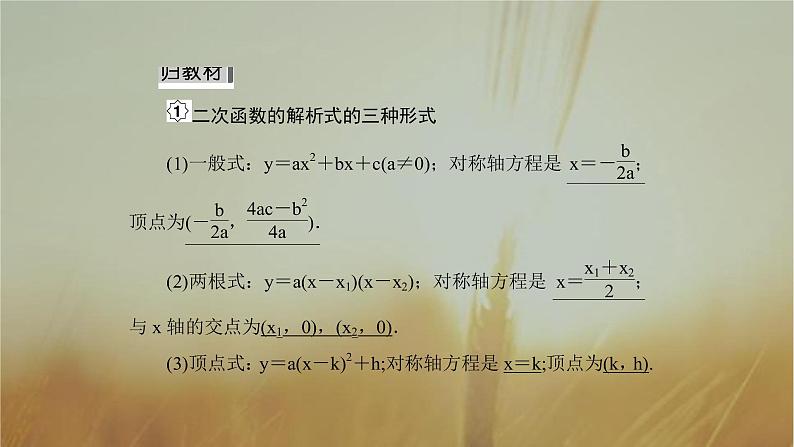 2019届二轮复习二次函数课件（45张）（全国通用）05