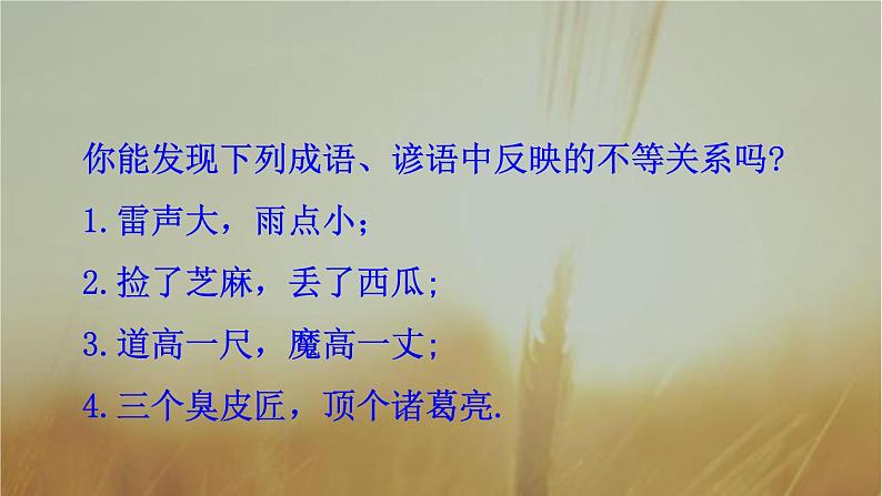 2019届二轮复习不等式与不等关系课件（32张）04