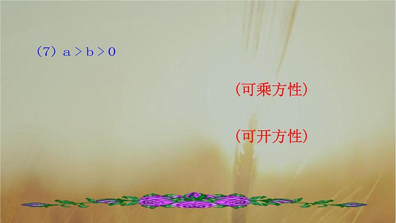 2019届二轮复习不等式与不等关系课件（27张）（全国通用）08