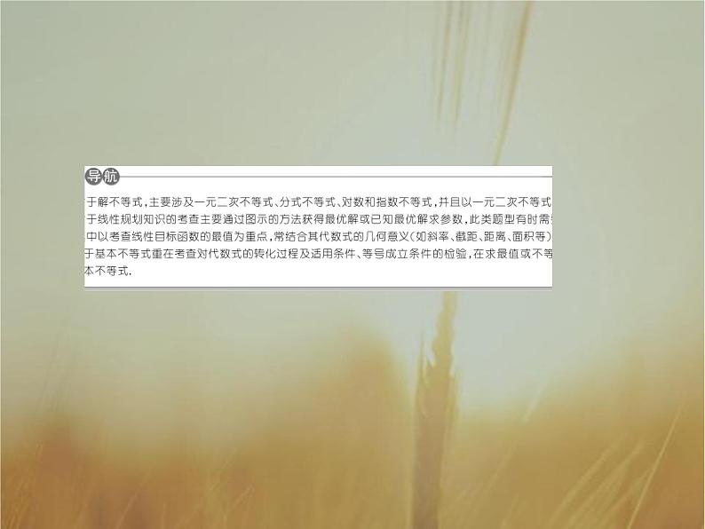 2019届二轮复习不等式、线性规划课件（51张）（全国通用）04