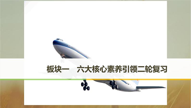2019届二轮复习大核心素养引领二轮复习课件（64张）（全国通用）01