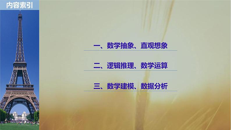 2019届二轮复习大核心素养引领二轮复习课件（64张）（全国通用）02