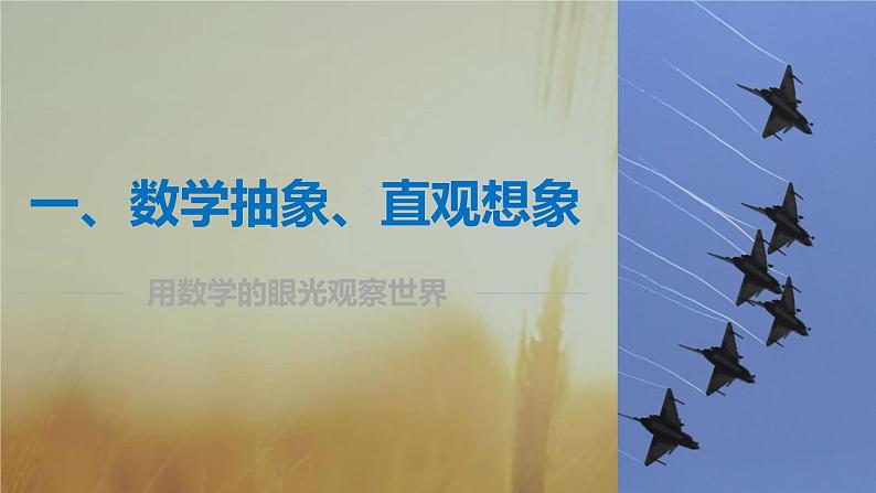 2019届二轮复习大核心素养引领二轮复习课件（64张）（全国通用）03