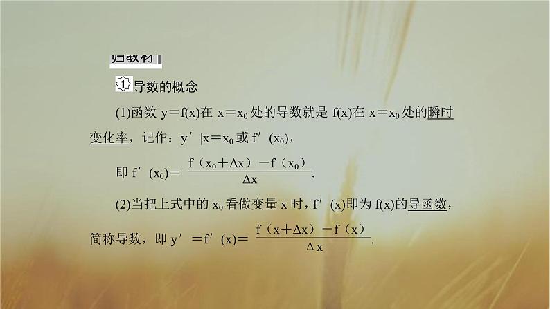 2019届二轮复习导数的概念及运算课件（45张）（全国通用）05