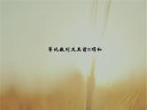 2019届二轮复习等比数列及其前n项和（25张）（全国通用）（全国通用） 课件