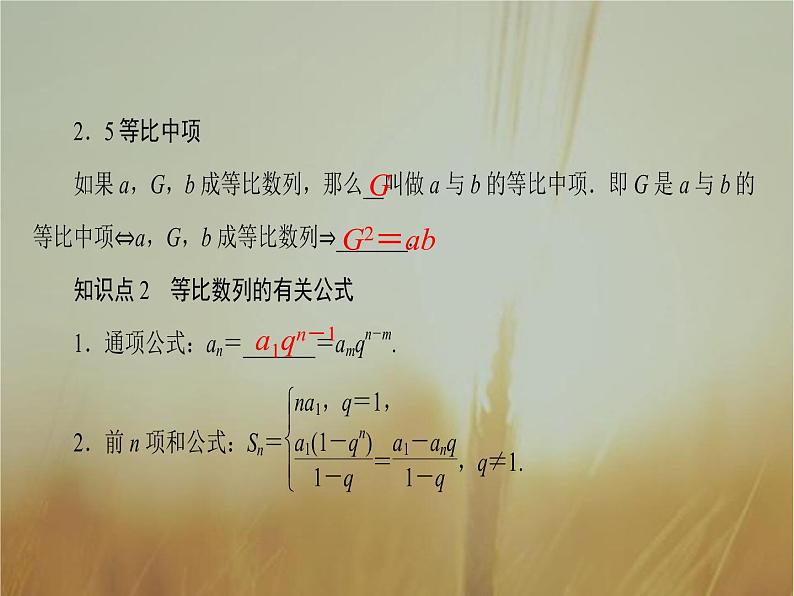 2019届二轮复习等比数列及其前n项和（25张）（全国通用）（全国通用） 课件04
