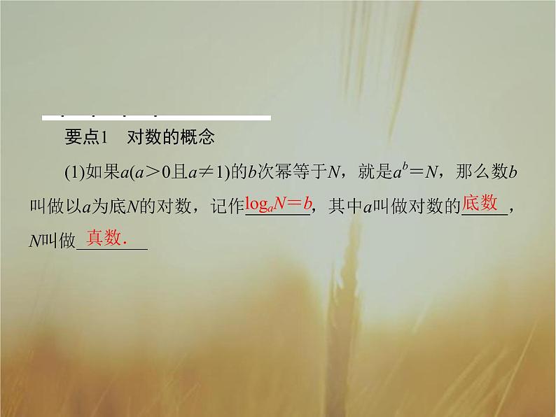2019届二轮复习（理）对数的概念课件（36张）（全国通用）03