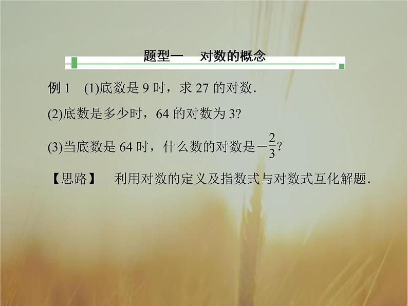 2019届二轮复习（理）对数的概念课件（36张）（全国通用）08