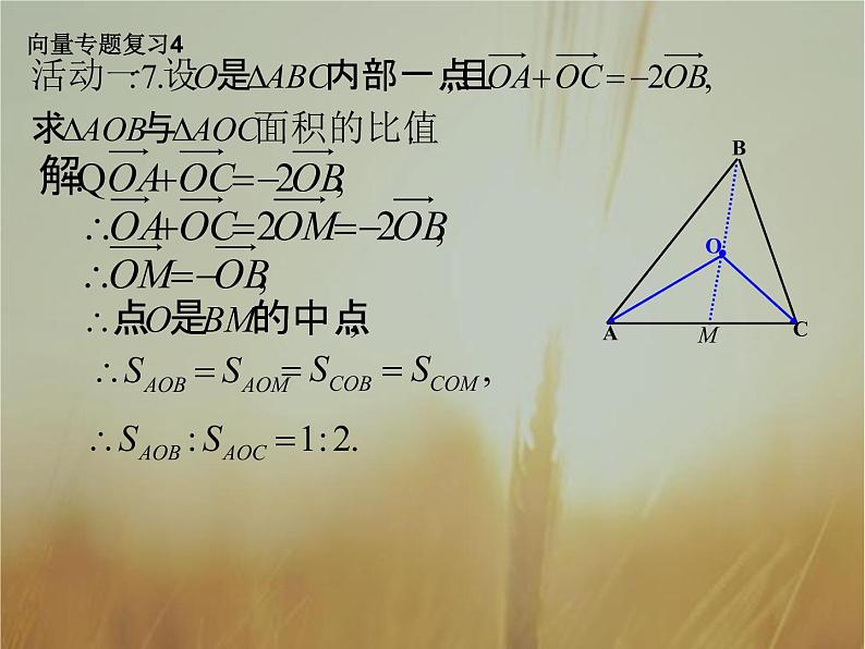2019届二轮复习（理）向量的数量积(二)课件（18张）（全国通用）07