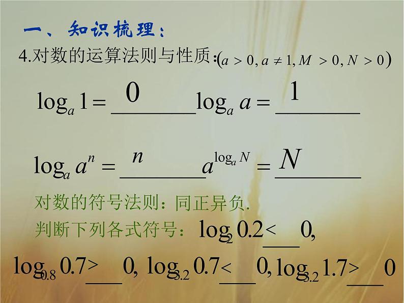 2019届二轮复习（理）指数与对数课件（29张）（全国通用）04