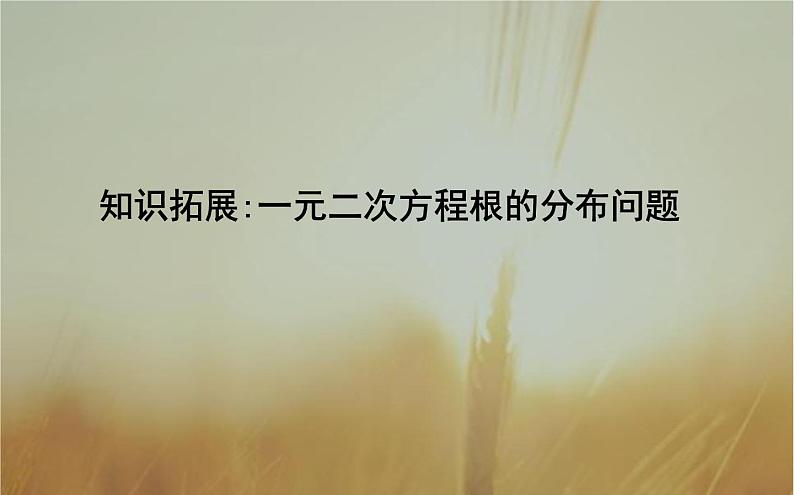 2019届二轮（理科数学）知识拓展一元二次方程根的分布问题课件（18张）（全国通用）01
