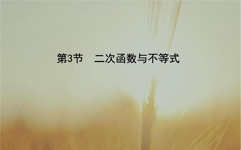 2019届二轮（理科数学）　二次函数与不等式课件（24张）（全国通用）01