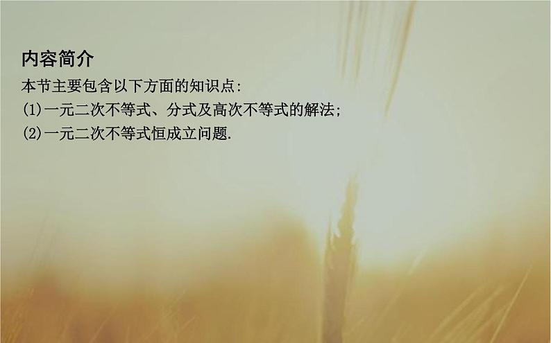 2019届二轮（理科数学）　二次函数与不等式课件（24张）（全国通用）02