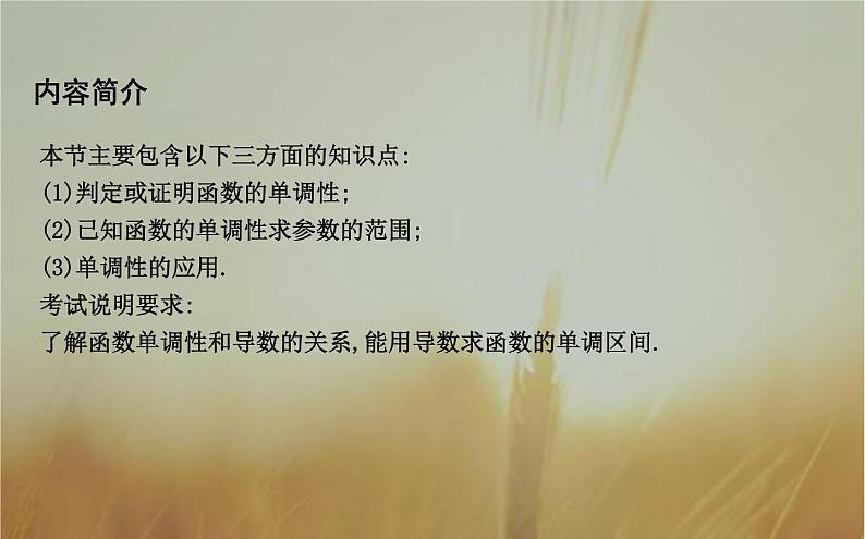 2019届二轮（理科数学）　函数的单调性与导数课件（30张）（全国通用）第2页